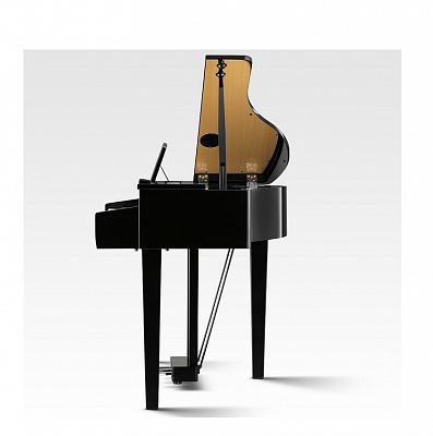 Цифровой рояль Kawai DG30 EP
