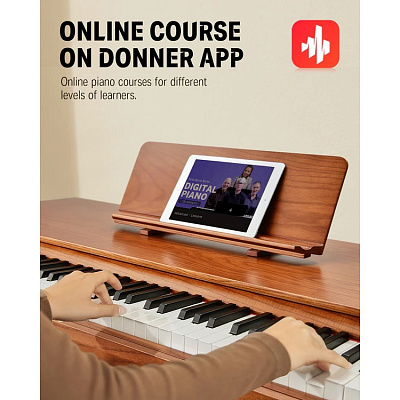 null Donner DDP-80 Pro