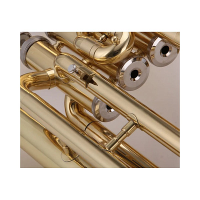 Баритон 3-х помповый Bb Gebr. Stolze EU-E100G