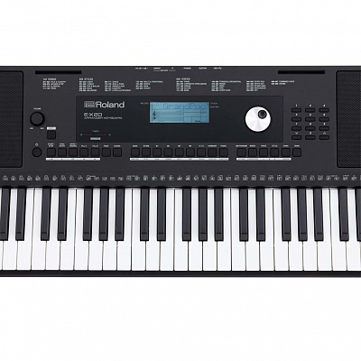 Синтезатор с автоаккомпанементом Roland E-X20