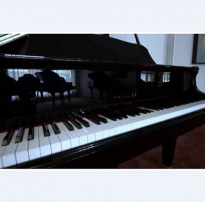 Дисклавир Yamaha DGB1K ENST PE