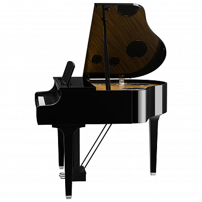 Цифровой рояль с банкеткой Yamaha CLP-895GP