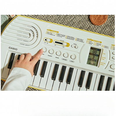 Синтезатор с автоаккомпанементом Casio SA-80